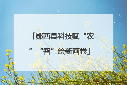 郧西县科技赋“农”“智”绘新画卷