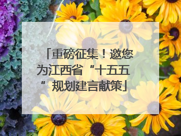重磅征集！邀您为江西省“十五五”规划建言献策