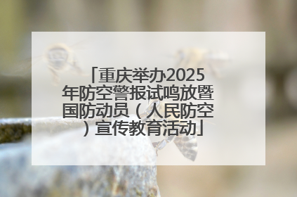 重庆举办2025年防空警报试鸣放暨国防动员（人民防空）宣传教育活动
