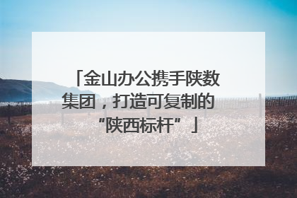 金山办公携手陕数集团，打造可复制的“陕西标杆”