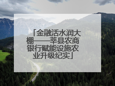 金融活水润大棚——莘县农商银行赋能设施农业升级纪实