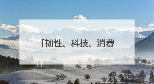 韧性、科技、消费……透过多维度关键词解析中国吸引全球资本“新磁场”