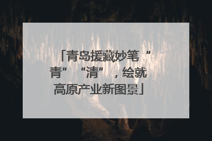 青岛援藏妙笔“青”“清”，绘就高原产业新图景