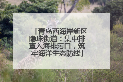 青岛西海岸新区隐珠街道：集中排查入海排污口，筑牢海洋生态防线