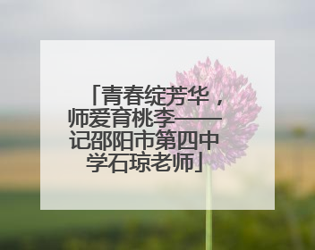青春绽芳华，师爱育桃李——记邵阳市第四中学石琼老师