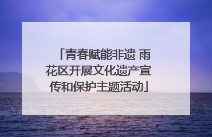 青春赋能非遗 雨花区开展文化遗产宣传和保护主题活动