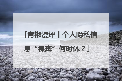 青椒漫评丨个人隐私信息“裸奔”何时休？