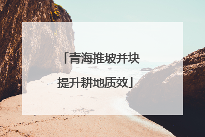 青海推坡并块提升耕地质效