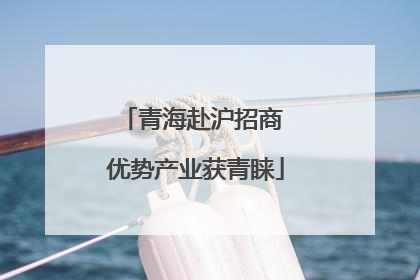 青海赴沪招商 优势产业获青睐