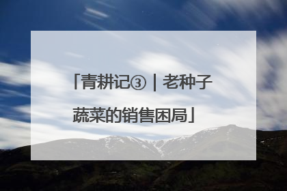 青耕记③｜老种子蔬菜的销售困局