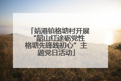 靖港镇格塘村开展“韶山红途砺党性 格塘先锋践初心”主题党日活动