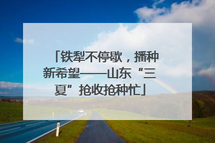 铁犁不停歇，播种新希望——山东“三夏”抢收抢种忙