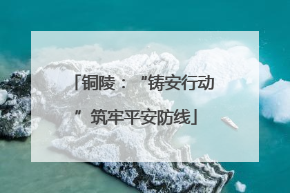 铜陵：“铸安行动”筑牢平安防线