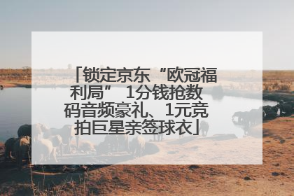锁定京东“欧冠福利局” 1分钱抢数码音频豪礼、1元竞拍巨星亲签球衣