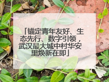 锚定青年友好、生态先行、数字引领，武汉最大城中村华安里焕新在即