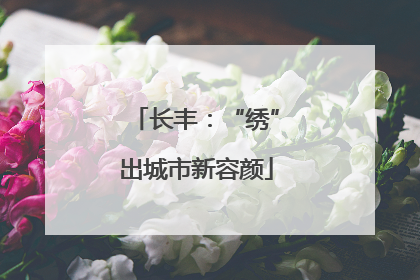 长丰：“绣”出城市新容颜