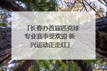长春办首届匹克球专业赛事受欢迎 新兴运动正走红