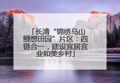 长清“锦绣马山 鲤想田园”片区：四链合一，建设宜居宜业和美乡村