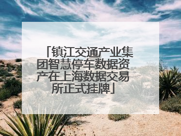 镇江交通产业集团智慧停车数据资产在上海数据交易所正式挂牌