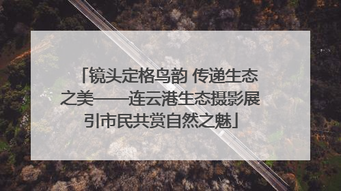 镜头定格鸟韵 传递生态之美——连云港生态摄影展引市民共赏自然之魅