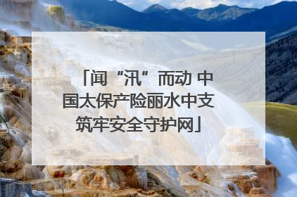 闻“汛”而动 中国太保产险丽水中支筑牢安全守护网