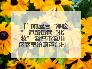 门前屋后“净脸” 道路街巷“化妆” 淄博市淄川区寨里镇葫芦台村的“美丽嬗变”