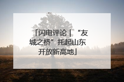 闪电评论｜“友城之桥”托起山东开放新高地
