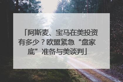阿斯麦、宝马在美投资有多少？欧盟紧急“盘家底”准备与美谈判