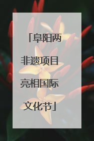 阜阳两非遗项目亮相国际文化节