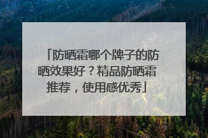 防晒霜哪个牌子的防晒效果好？精品防晒霜推荐，使用感优秀