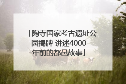 陶寺国家考古遗址公园揭牌 讲述4000年前的都邑故事