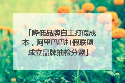 降低品牌自主打假成本，阿里巴巴打假联盟成立品牌抽检分盟