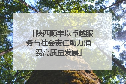 陕西顺丰以卓越服务与社会责任助力消费高质量发展