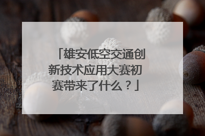 雄安低空交通创新技术应用大赛初赛带来了什么？
