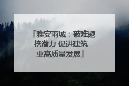 雅安雨城：破难题 挖潜力 促进建筑业高质量发展
