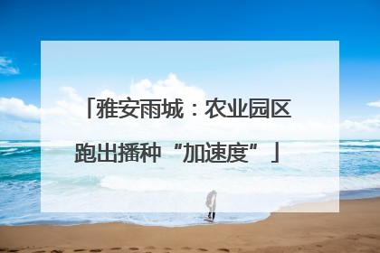 雅安雨城：农业园区跑出播种“加速度”