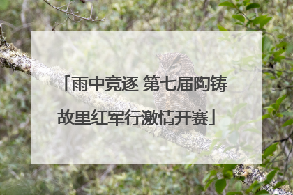 雨中竞逐 第七届陶铸故里红军行激情开赛