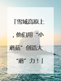 雪域高原上，他们用“小蘑菇”创造大“蘑”力！