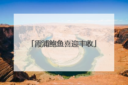 霞浦鲍鱼喜迎丰收
