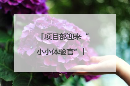 项目部迎来“小小体验官”