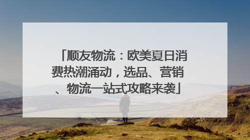 顺友物流：欧美夏日消费热潮涌动，选品、营销、物流一站式攻略来袭