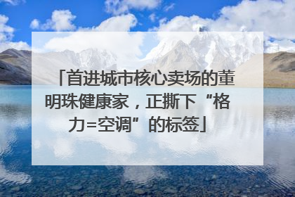首进城市核心卖场的董明珠健康家，正撕下“格力=空调”的标签