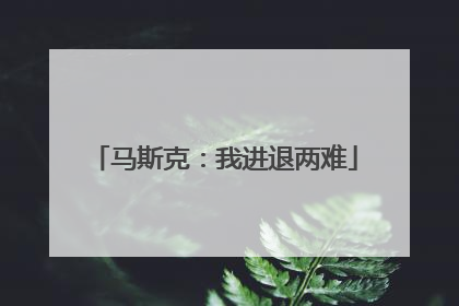 马斯克：我进退两难