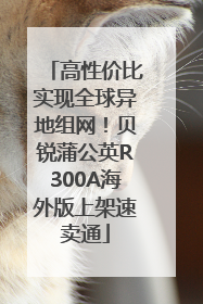 高性价比实现全球异地组网！贝锐蒲公英R300A海外版上架速卖通