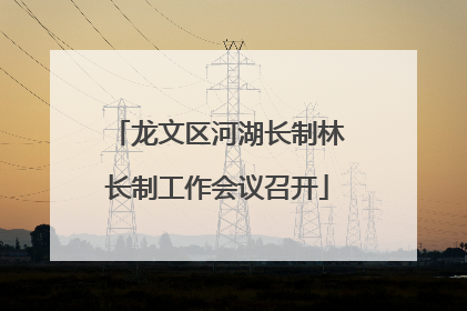 龙文区河湖长制林长制工作会议召开