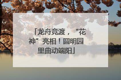 龙舟竞渡，“花神”亮相！圆明园里曲动端阳