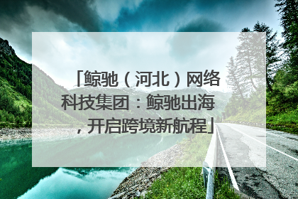 鲸驰（河北）网络科技集团：鲸驰出海，开启跨境新航程
