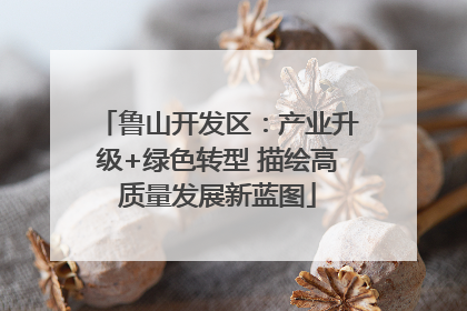 鲁山开发区：产业升级+绿色转型 描绘高质量发展新蓝图