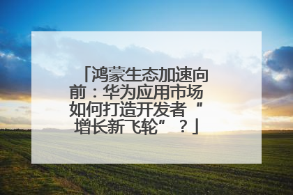 鸿蒙生态加速向前：华为应用市场如何打造开发者“增长新飞轮”？