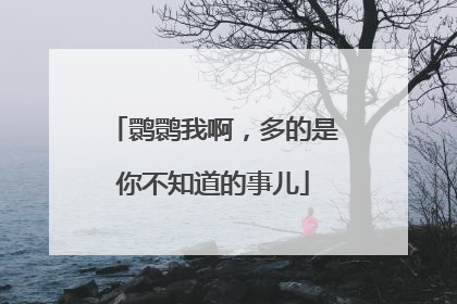 鹮鹮我啊，多的是你不知道的事儿